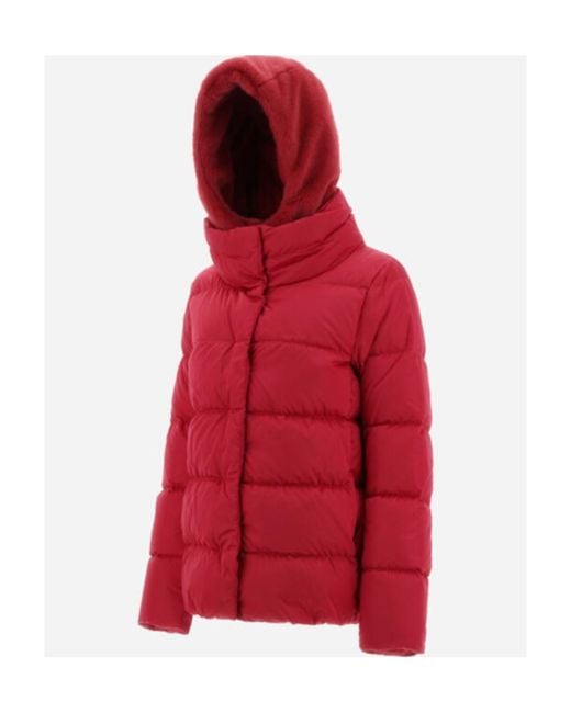 Herno Red Hooded Padded Jacket