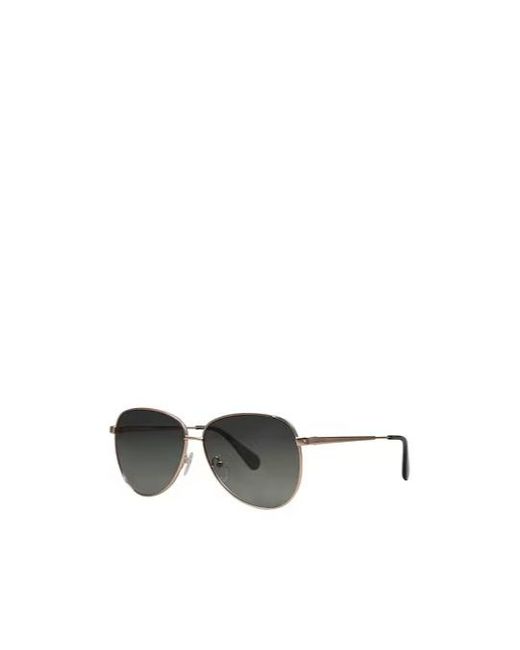 MAX&Co. Multicolor Aviator Sunglasses