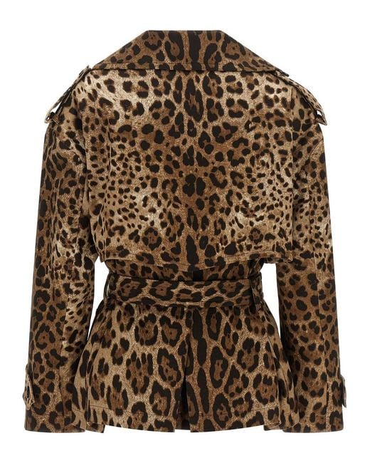 Dolce & Gabbana Brown Leopard Printed Trench Coat