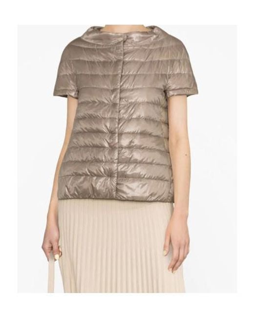 Herno Gray Down Jacket
