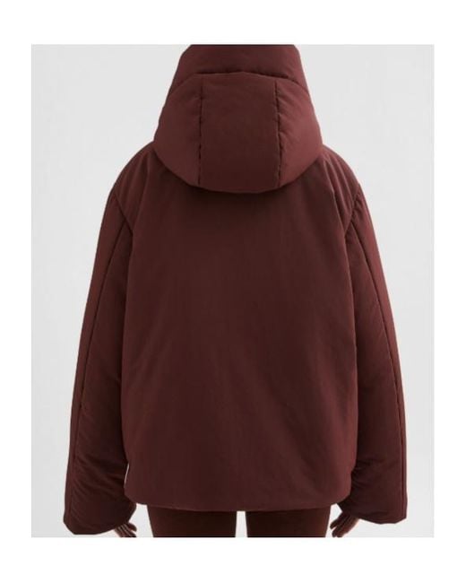 Jil Sander Purple Short Down Jacket
