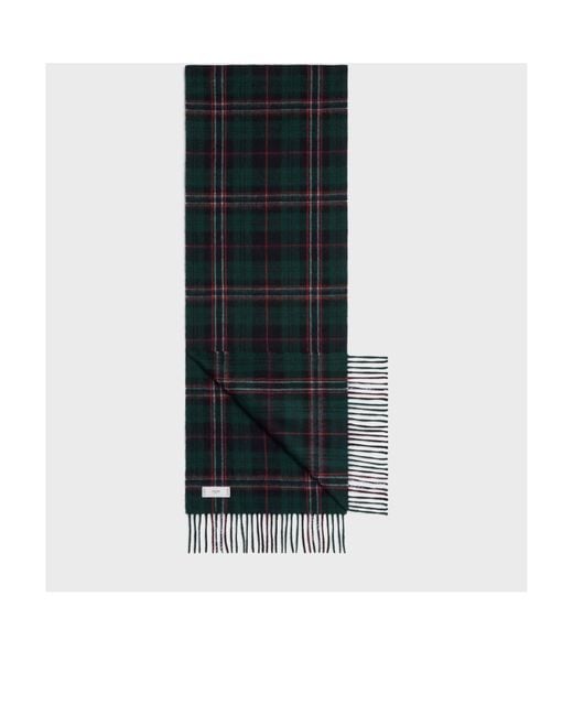 Céline Blue Triomphe Scarf for men