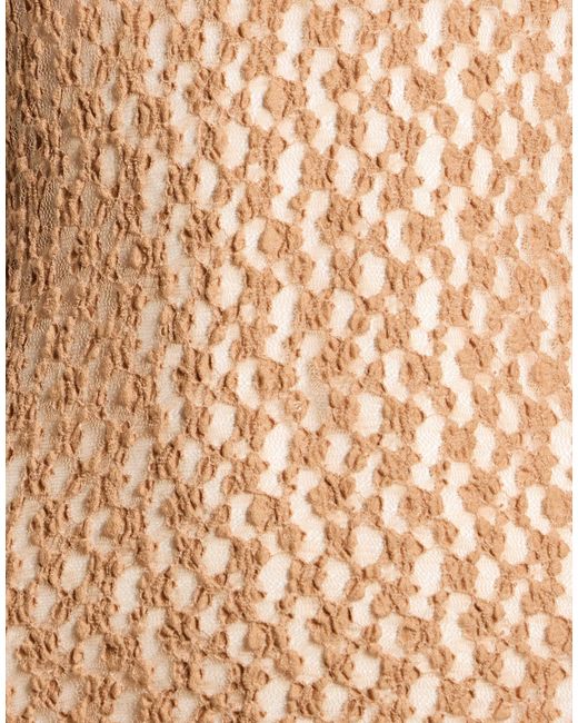 Isabel Marant Brown Simple Mesh Long-Sleeved Top
