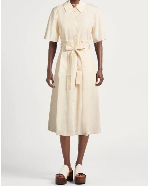 MAX&Co. Natural Shirt Dresses