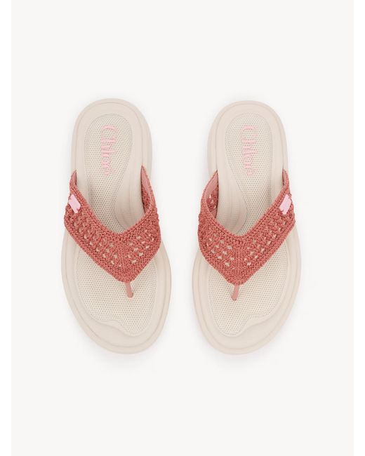Chloé Pink Chloé Poolette Flip Flops
