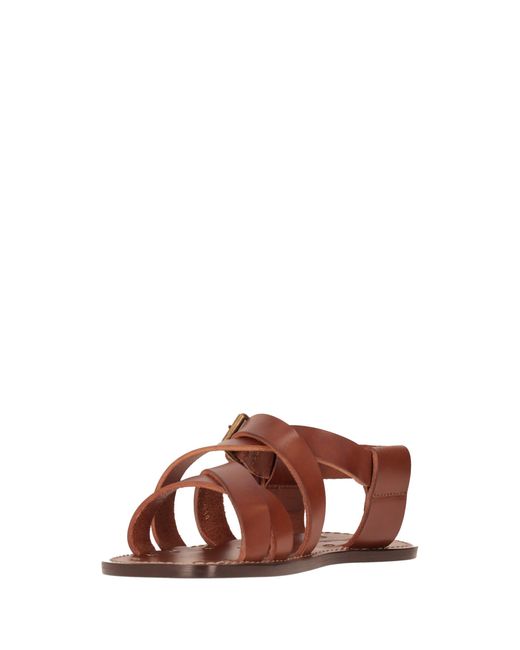 Saint Laurent Brown Cheever Buckle-Fastening Flat Sandals for men