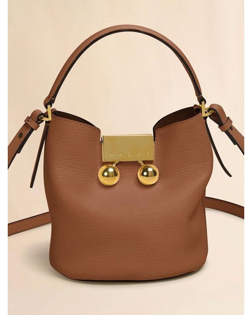 Marni Brown Trunkaroo Bucket Bag