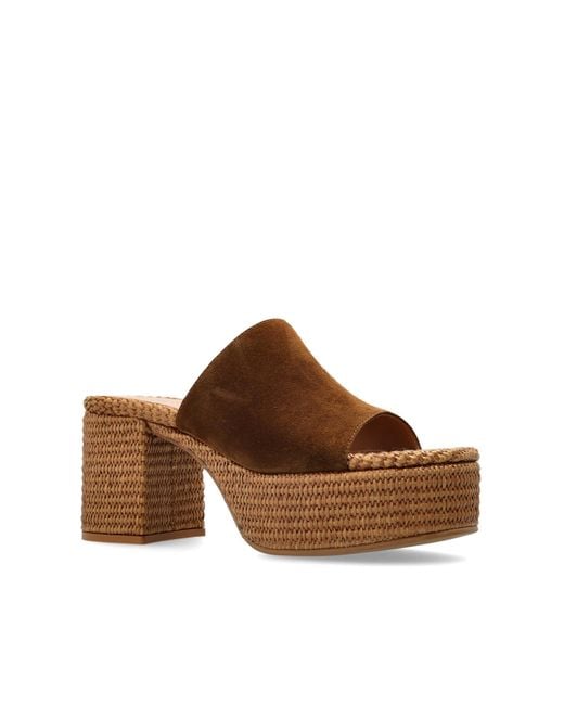 Gianvito Rossi Brown Heeled Mules
