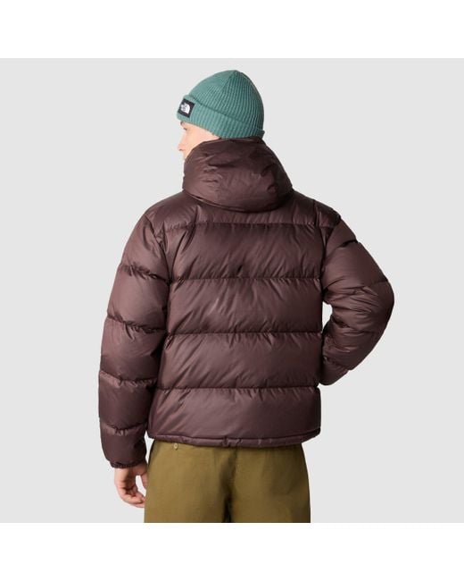 The North Face Brown '71 Sierra Down Jacket for men