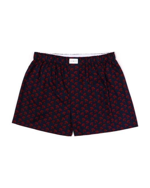 Tommy Hilfiger Blue Checkered Shorts for men