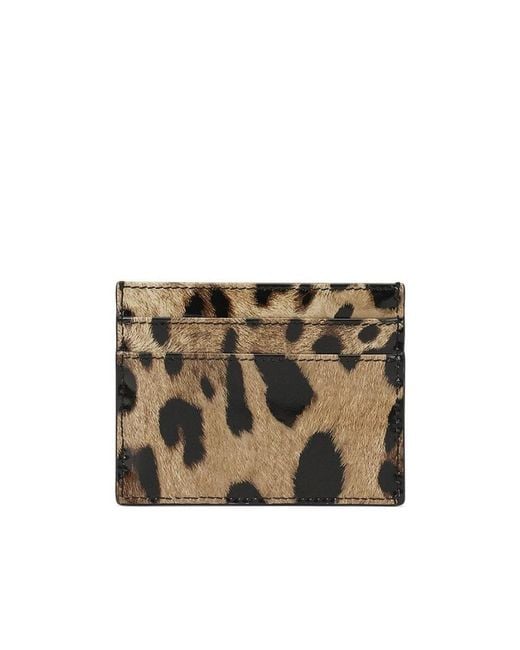 Dolce & Gabbana Natural Leopard-Printed Logo Plaque Cardholder