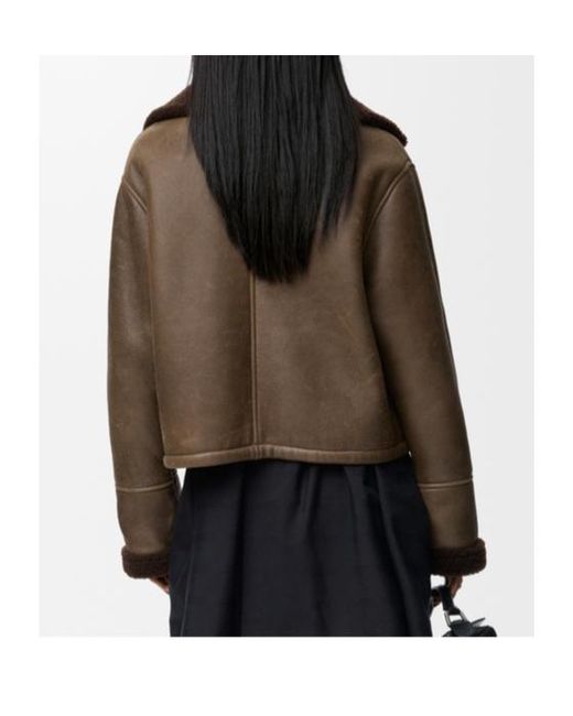 Loewe Brown Jacket