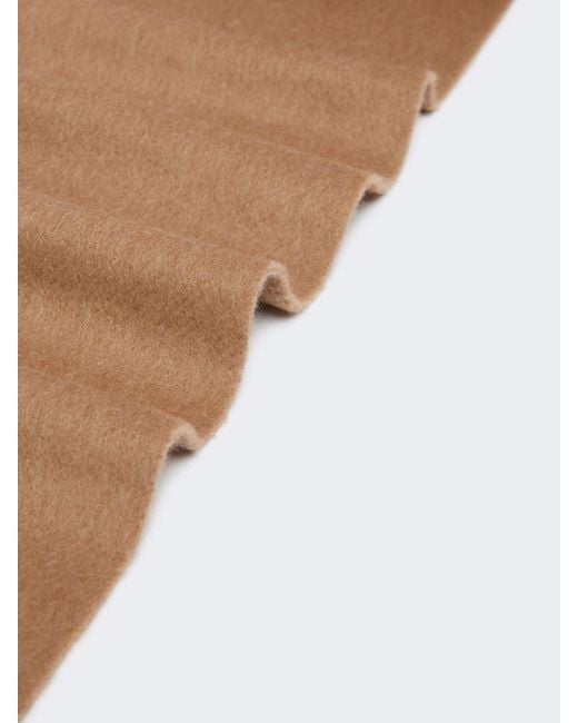 Max Mara Brown Logo Embroidered Fringed Scilli Scarf
