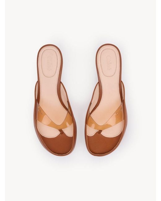 Chloé Brown Chloé Junie Heeled Sandals
