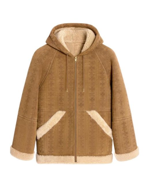 Céline Brown Hooded Parka