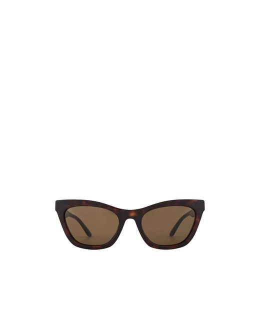 Emporio Armani Multicolor Cat-Eye Frame Sunglasses