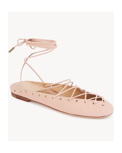 Chloé Multicolor Chloé Ghillies Almond Toe Ballerina Shoes