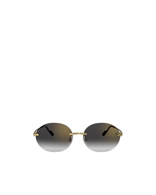 Cartier Multicolor Eyewear Oval-Frame Sunglasses for men