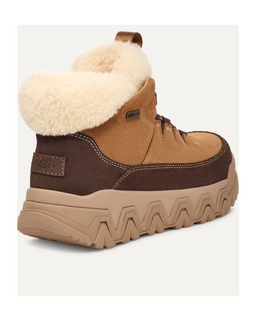 Ugg Brown Terretrail Cozy Lace-Up Boots