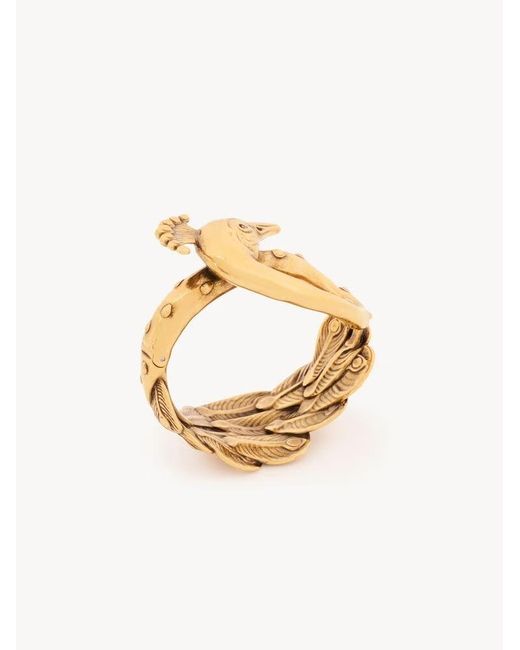 Chloé Metallic Feather Bracelet