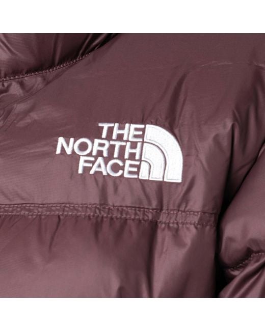 The North Face Blue Nuptse Cropped Padded Jacket