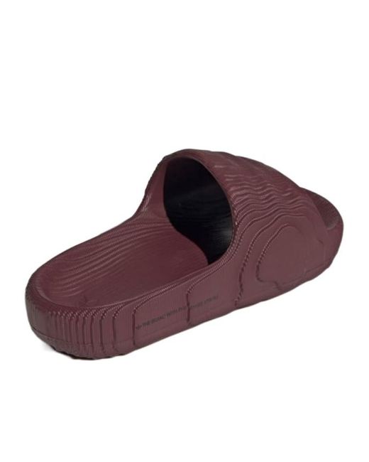 Adidas Originals Brown Adilette 22 Slides for men