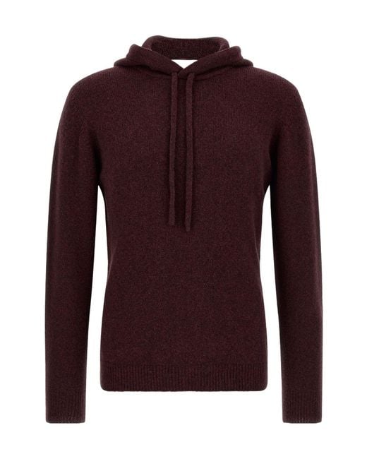 Roberto Collina Purple Hooded Sweater for men