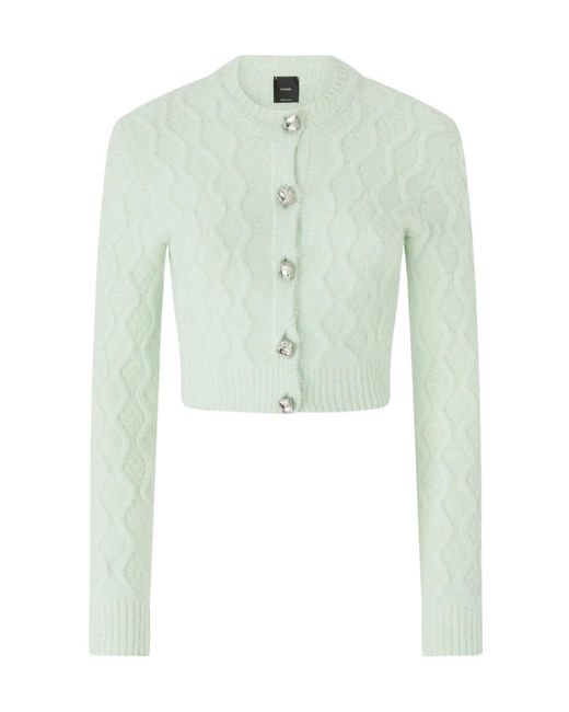 Pinko Green Dixie Girl Buttoned Cardigan