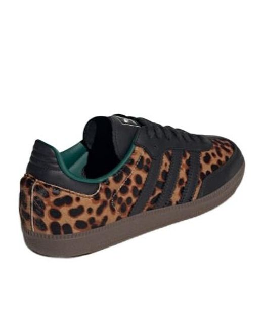 Adidas Originals Brown Samba Og Shoes for men