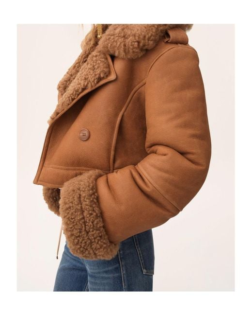 Chloé Brown Cropped Boxy Jacket