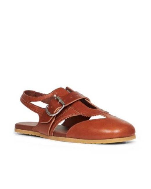 Dries Van Noten Brown Buckled Flat Shoes