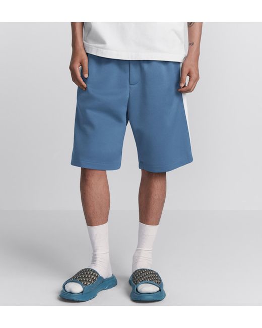 Dior Blue Homme Stripe Detailed Track Shorts for men