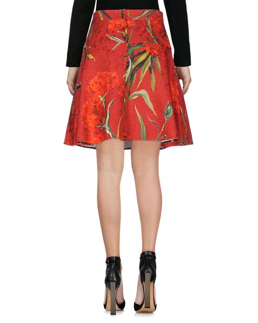 Dolce & Gabbana Red Floral Print Mini Skirt
