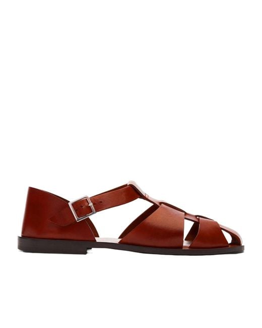 Scarosso Brown Apollo Buckle-Fastened Sandals for men