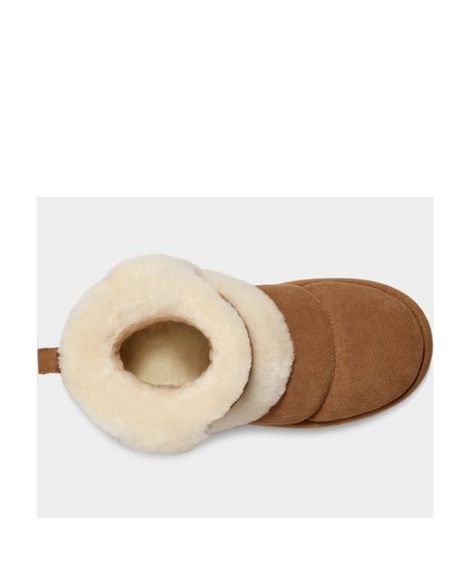 Ugg Brown Classic Chillapeak Boots