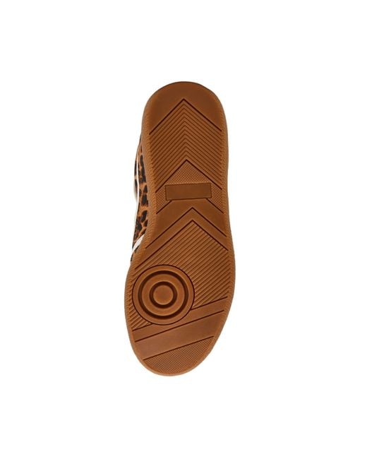 Steve Madden Brown Simple Low-Top Casual Shoes