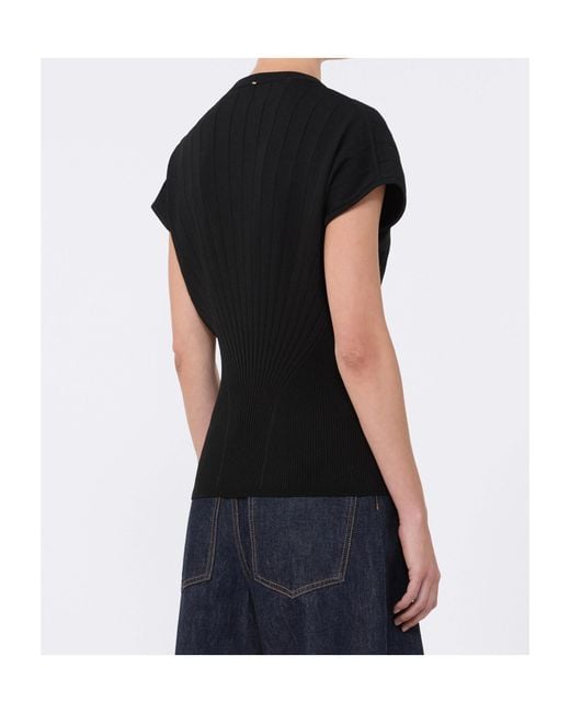 Sportmax Black Spxsamba Fitted Waist Knitted Top
