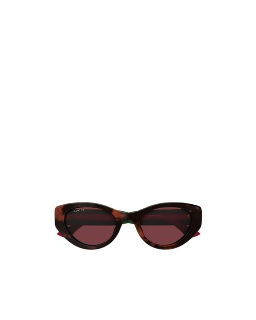 Gucci Multicolor Eyewear Cat-Eye Frame Sunglasses