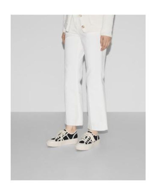 Gucci Black Canvas Sneakers