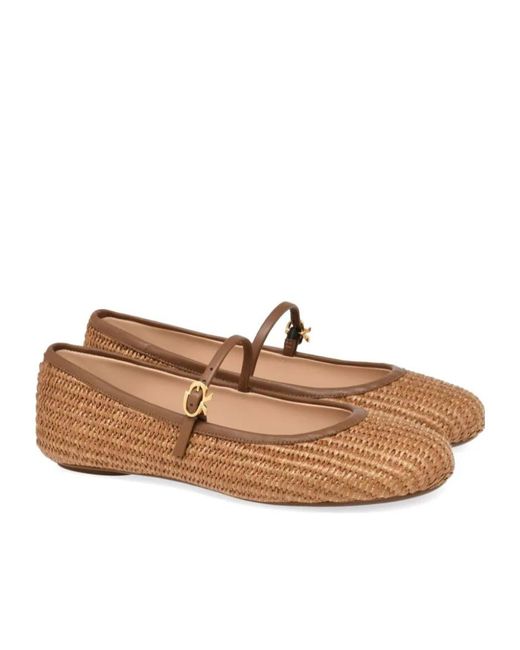 Gianvito Rossi Brown Ballerinas