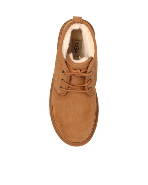 Ugg Brown Neumel Lace-Up Ankle Boots for men