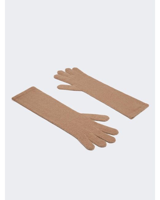 Max Mara Multicolor Long Cashmere Gloves