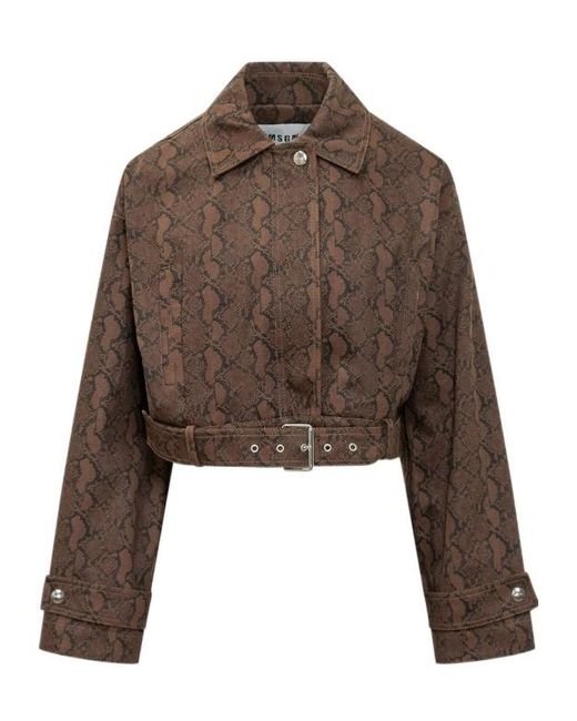 MSGM Brown Cropped Belted Patterned Jacket