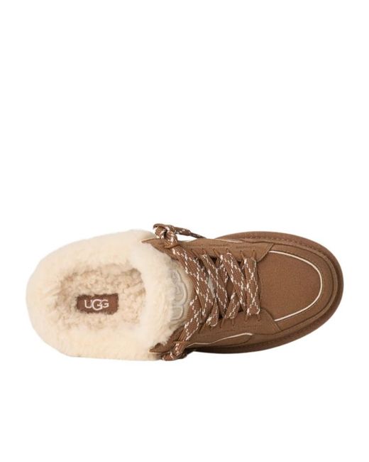 Ugg Brown Lowmel Mule Slip-On Sneakers