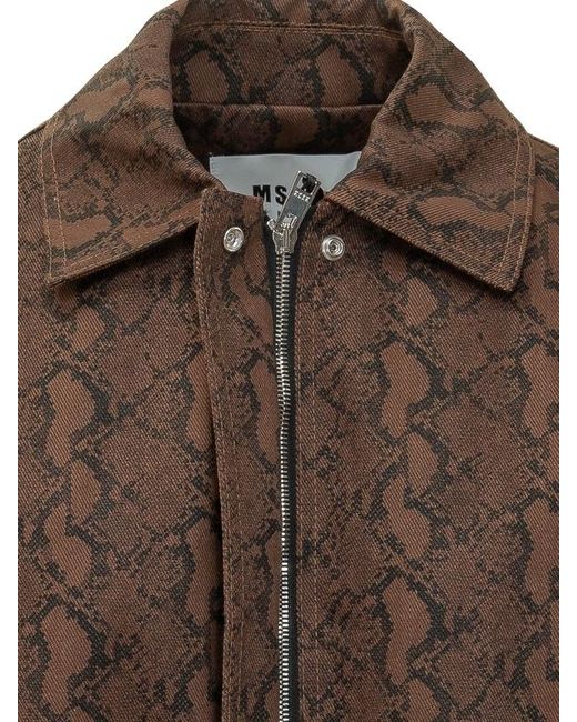 MSGM Brown Cropped Belted Patterned Jacket