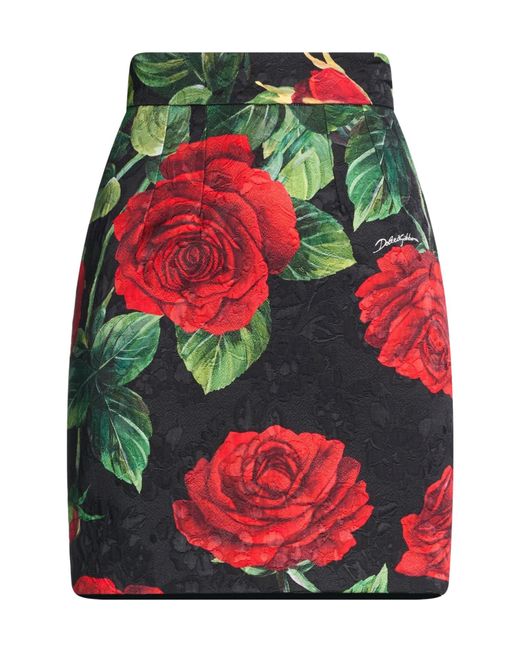 Dolce & Gabbana Red Mini Skirts