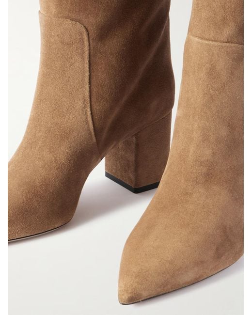 Paris Texas Brown Solid Color Suede Knee Boots