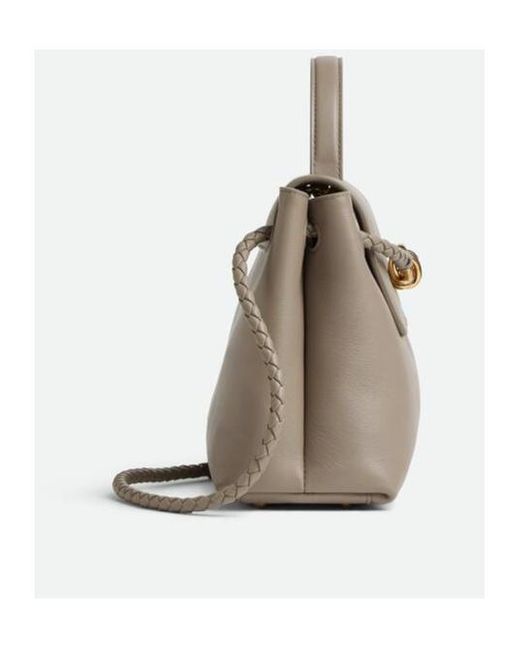 Bottega Veneta Metallic Small Ciao Ciao