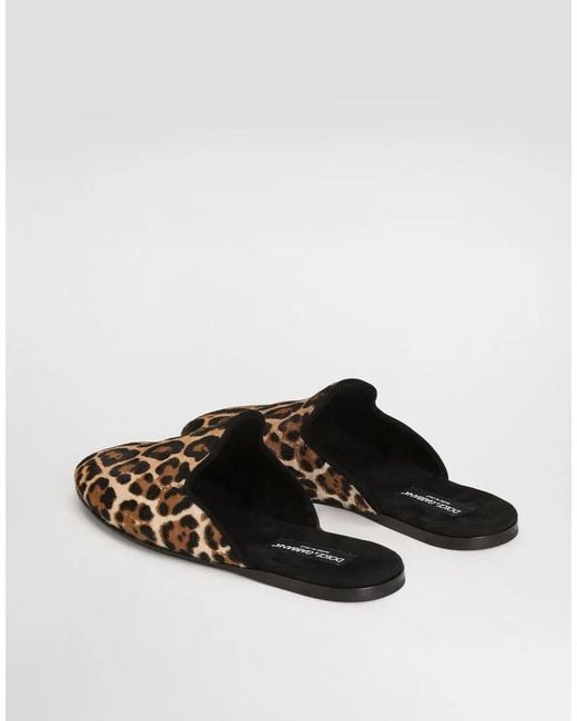 Dolce & Gabbana Brown Leopard Printed Slides for men
