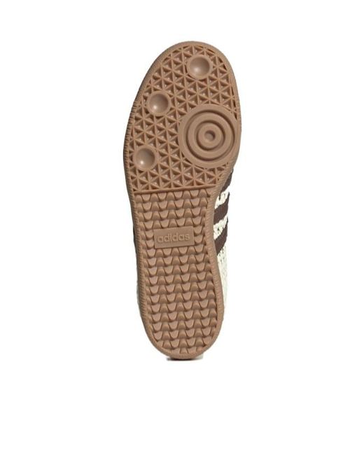 Adidas Originals Brown Classic Sneakers